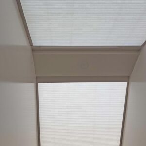 rem-to-ong-lap-tren-tran-kinh