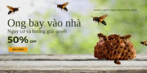 Ong bay vào nhà - cửa lưới chống muỗi - vách ngăn điều hòa
