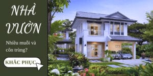 nha-vuon